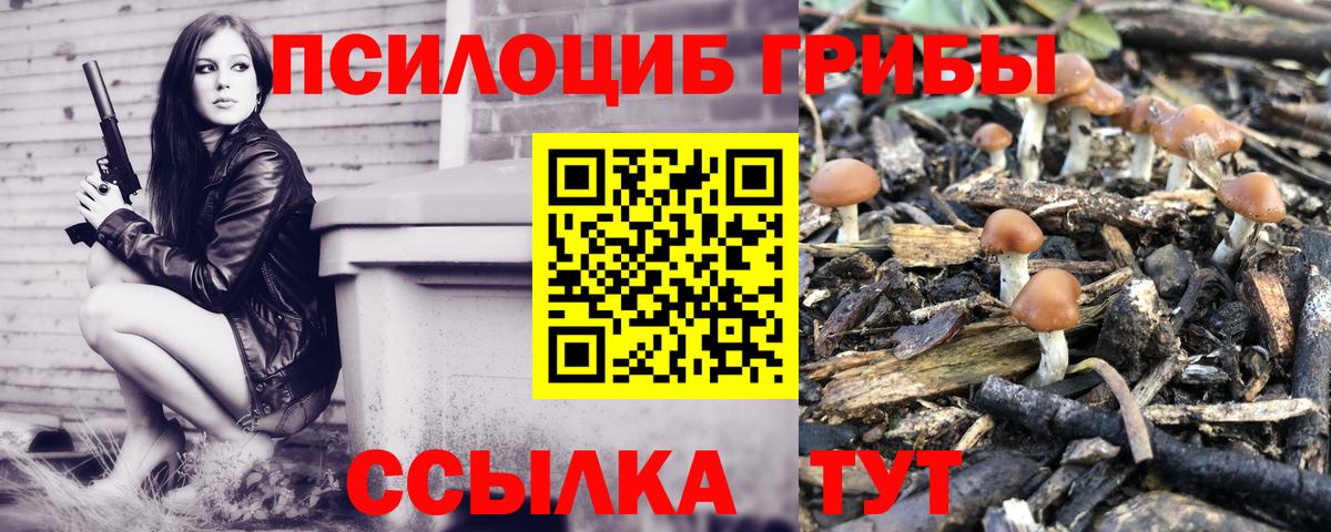 Галлюциногенные грибы ЛСД  Галлюциногенные грибы MAGIC MUSHROOMS  Вход с VPN  Шебекино 